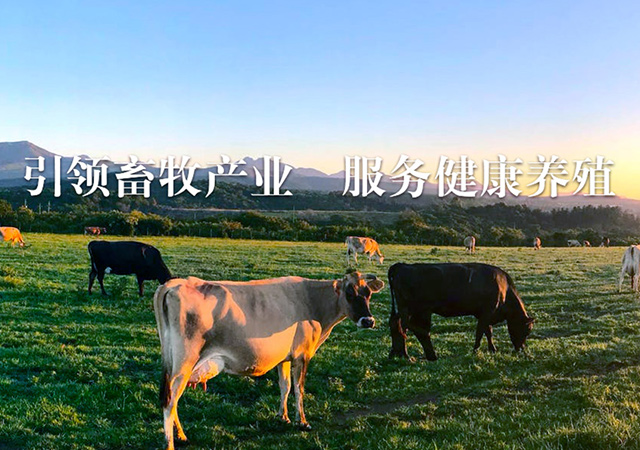 牧享莱-专注中国畜牧事业 ，孵化畜牧产业品牌